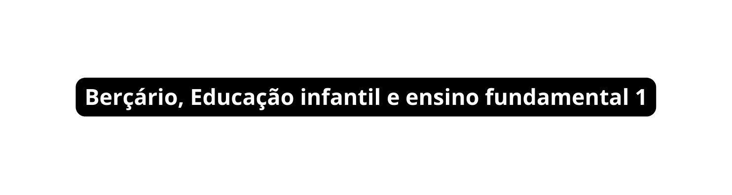 Berçário Educação infantil e ensino fundamental 1