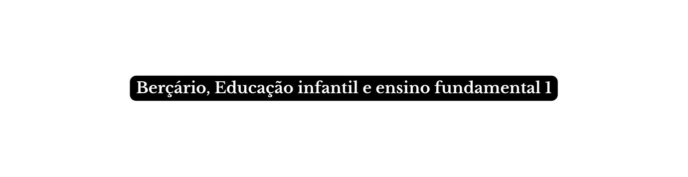 Berçário Educação infantil e ensino fundamental 1
